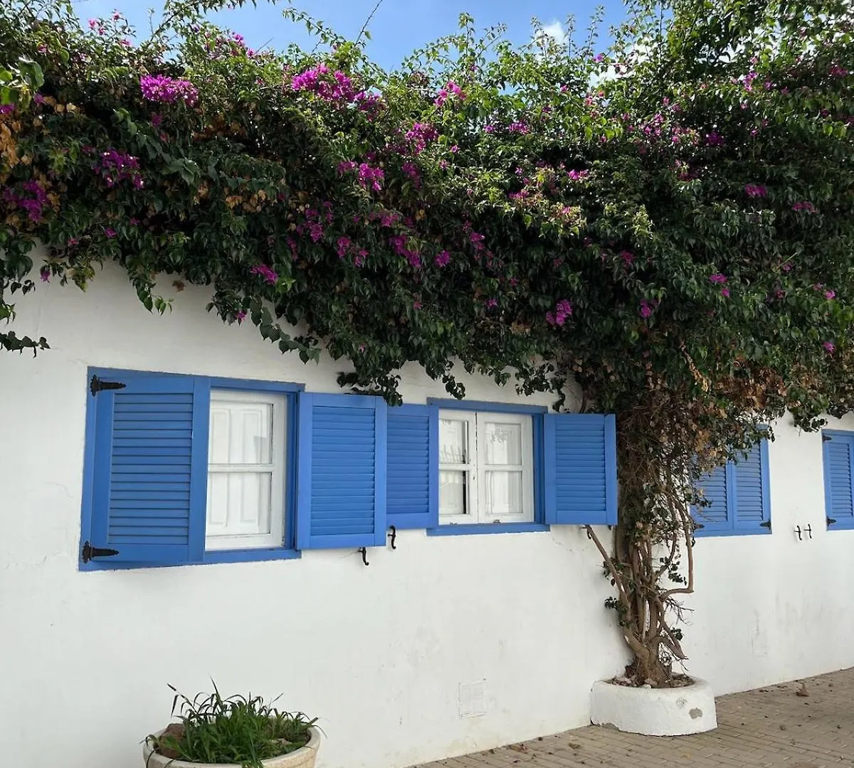 Casa Azul Apartment Agua Amarga  0*, Agua Amarga (Almeria) Spain