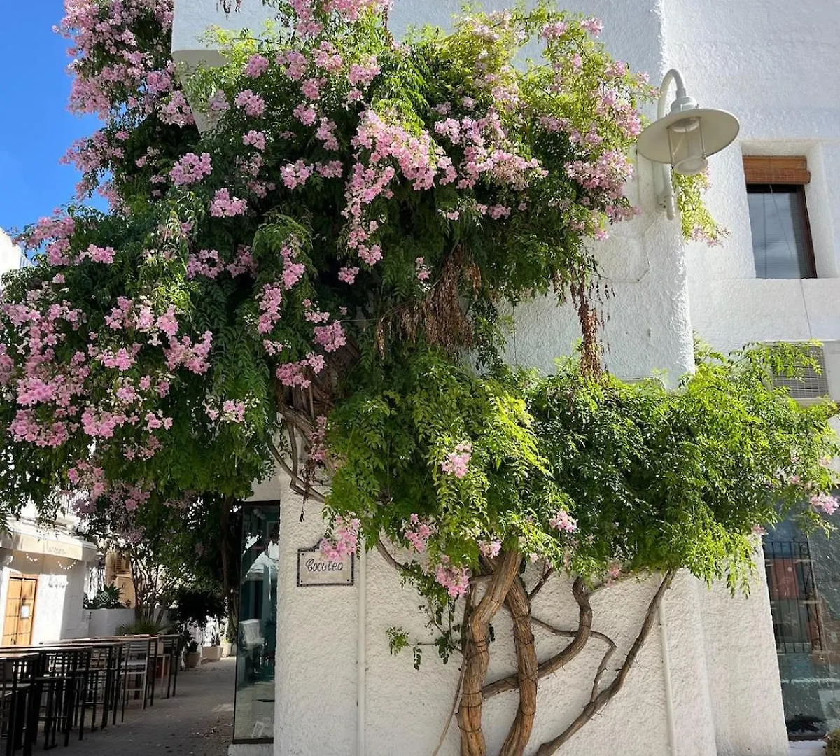 Casa Azul Apartment Agua Amarga  Agua Amarga (Almeria)